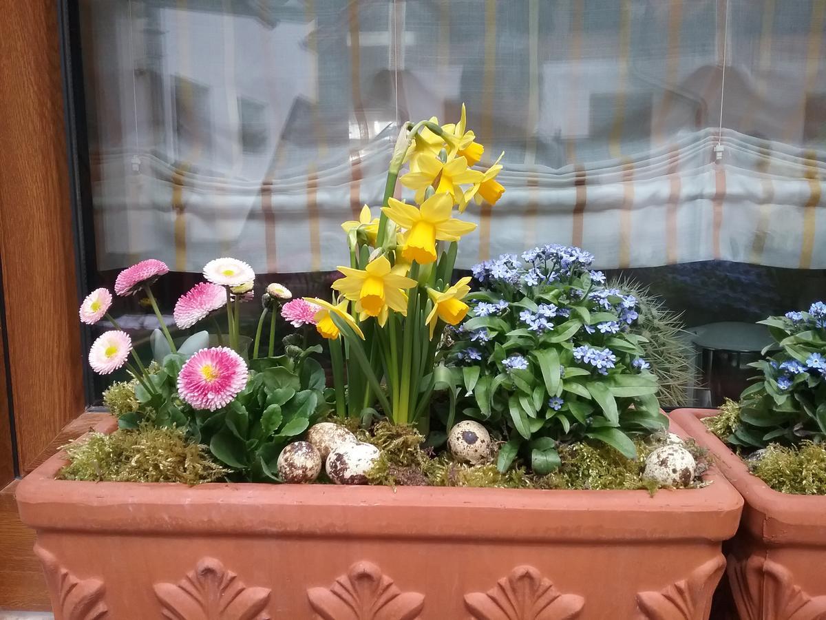 Haus Am Kastanienwald Hotel Dorrenbach ภายนอก รูปภาพ